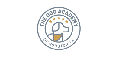 Dog Academy